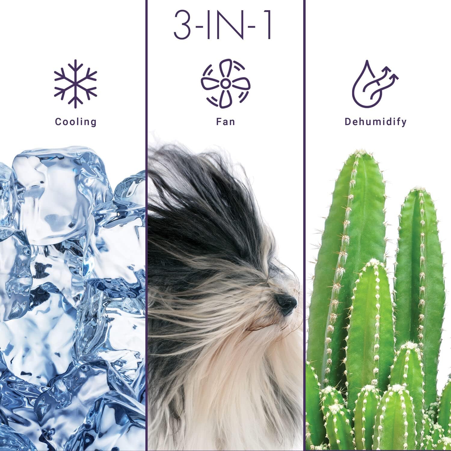 Freonic 6,000 BTU 250 sq. ft. Window Air Conditioner & Dehumidifier with Remote, White, FHCW061ABE