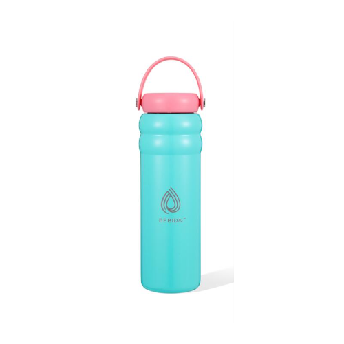 Bebida 24 oz Stainless Steel Fashion Tumbler with Lid, Double Wall