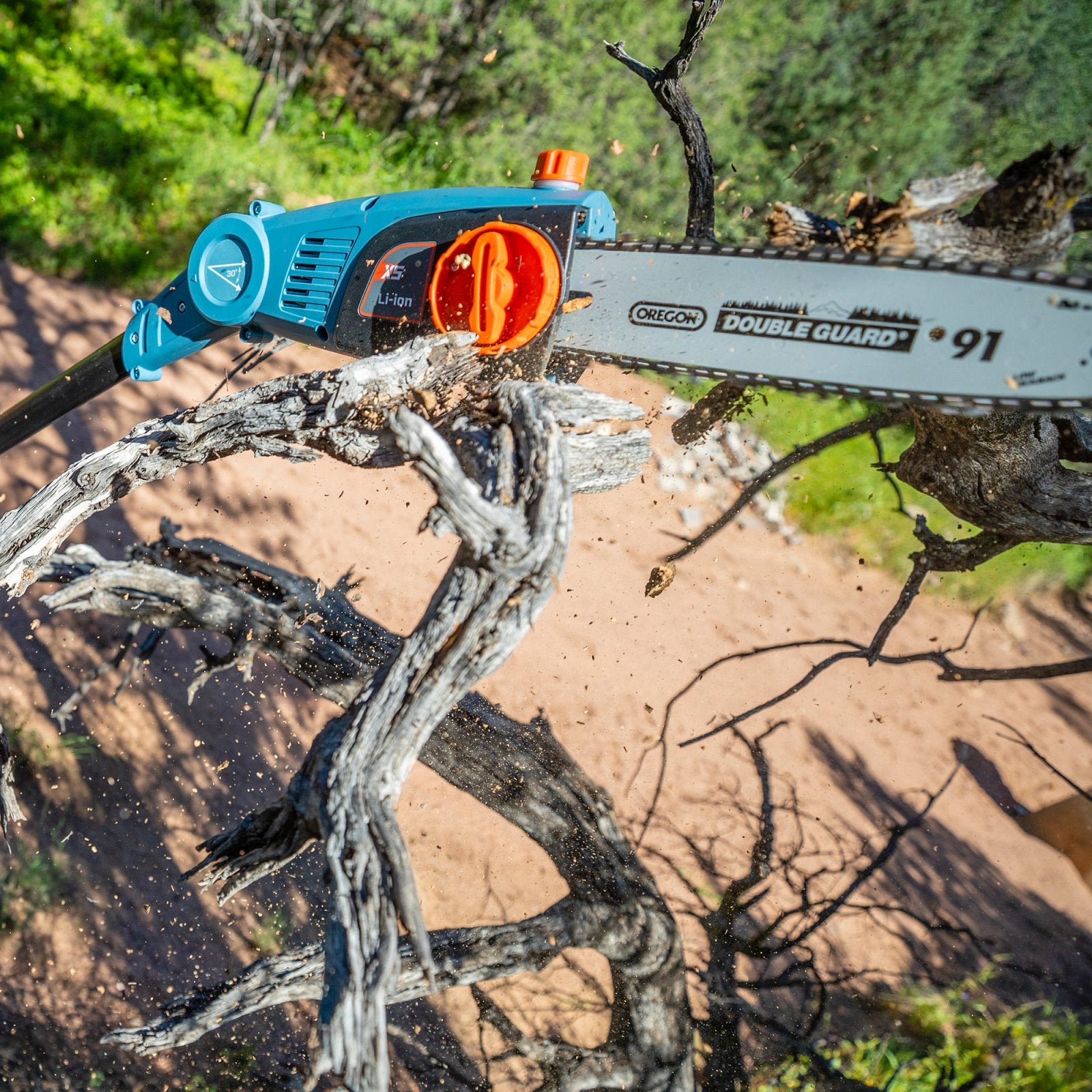 SENIX 10 Inch 58 Volt Cordless Pole Saw to Reach Branches up to 14 Feet (Battery & Charger Included)