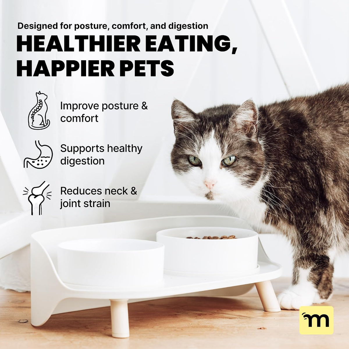 MalsiPree Dog Bowls Elevated & Pet Bowls - Small, Sand Beige - 45 Tilt Stand with Splash Guard - Dog Feeding Station with Ceramic Dishes for Food & Water
