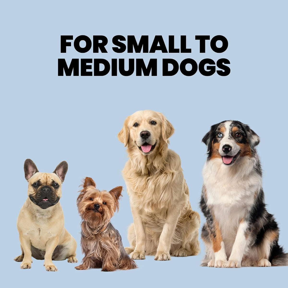 MalsiPree Complete Dog Walking Set - 9.8ft Retractable Leash Set with 20 Poop Bag and Dispenser, Leakproof Dog Water Bottle 12oz & Flashlight - Essential Walking Accessory for Small to Medium Dogs Sand and Teal 12oz - Standard