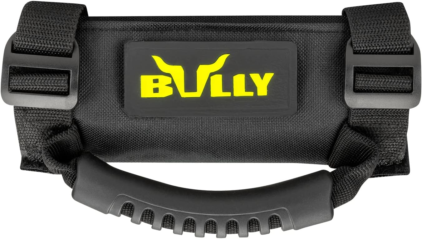 Bully UTV Roll Cage Hand Holder Pair, Black