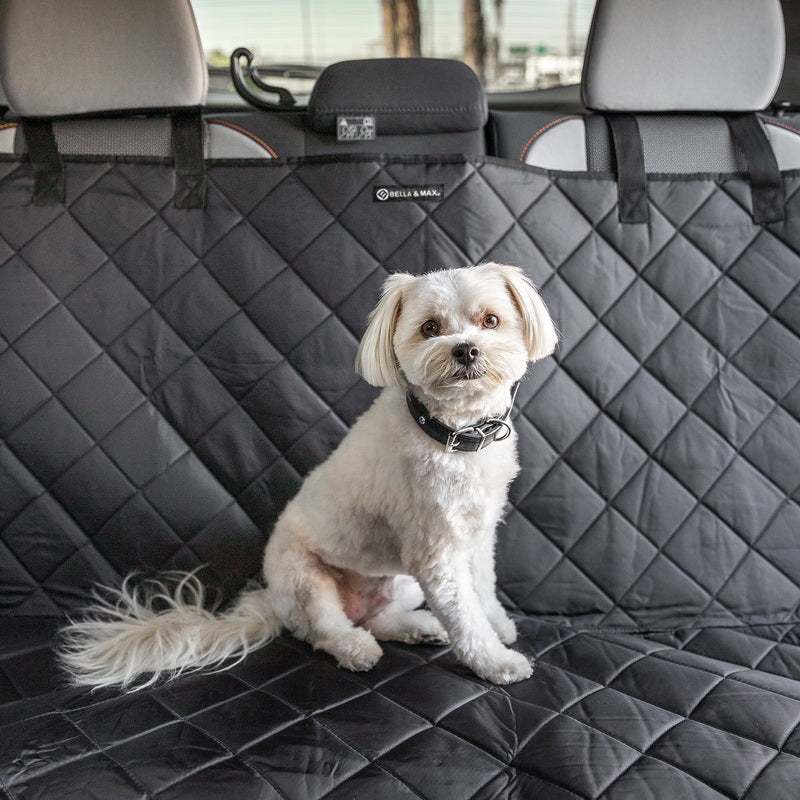 Pilot Pet Travel Seat Protector, 4 Pack