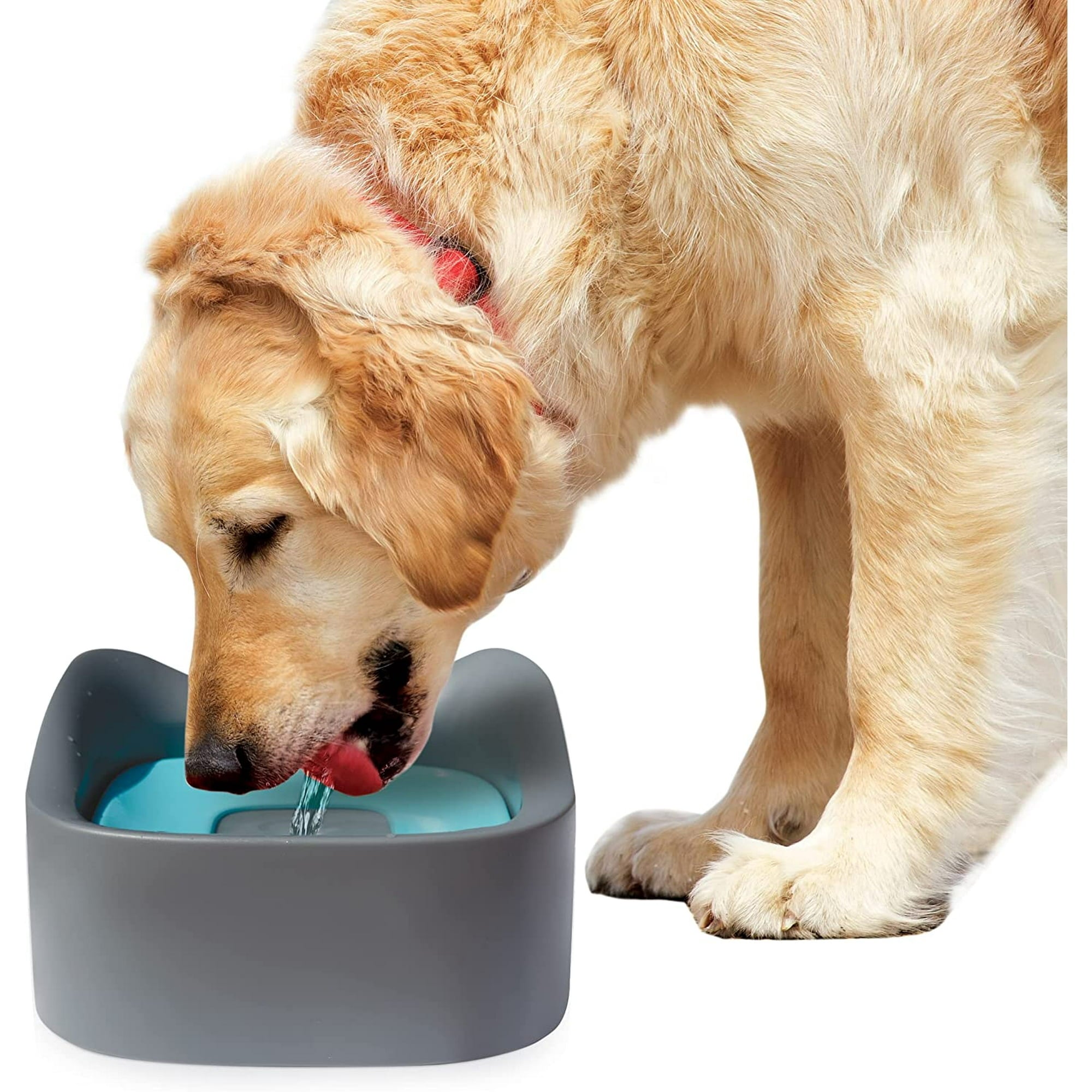 Pet-Able No Spill Pet Bowl