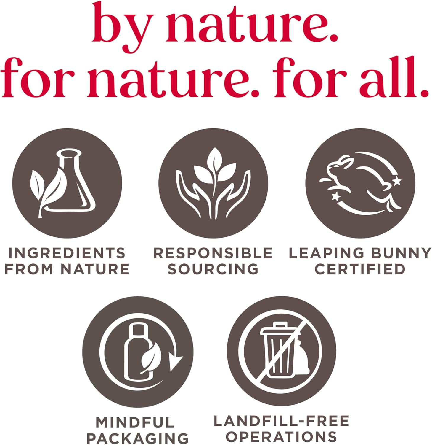 Burt's Bees Clear & Balanced Even Tone Liquid Exfoliant 8 fl. oz. Liquid