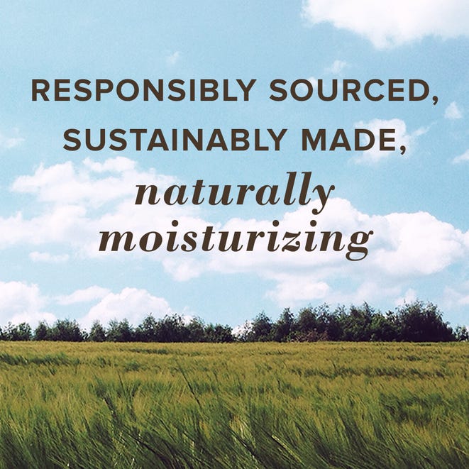 Burt's Bees Medicated Lip Balm, Soothes Chapped Lips with Menthol, 12 Pack