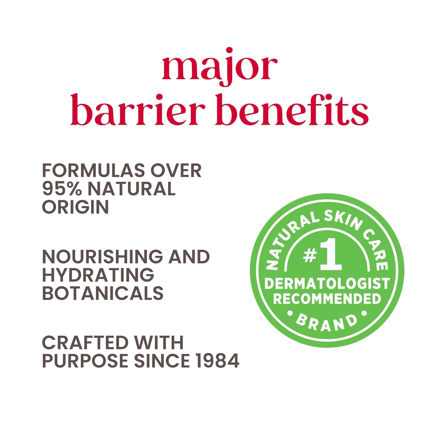 Burt's Bees Medicated Lip Balm, Soothes Chapped Lips with Menthol, 12 Pack