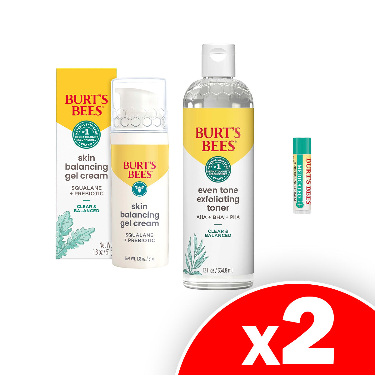 Burt's Bees Skin Care Kit, Includes Balancing Cream, Exfoliating Toner & Medicated Lip Balm, 2 Pack