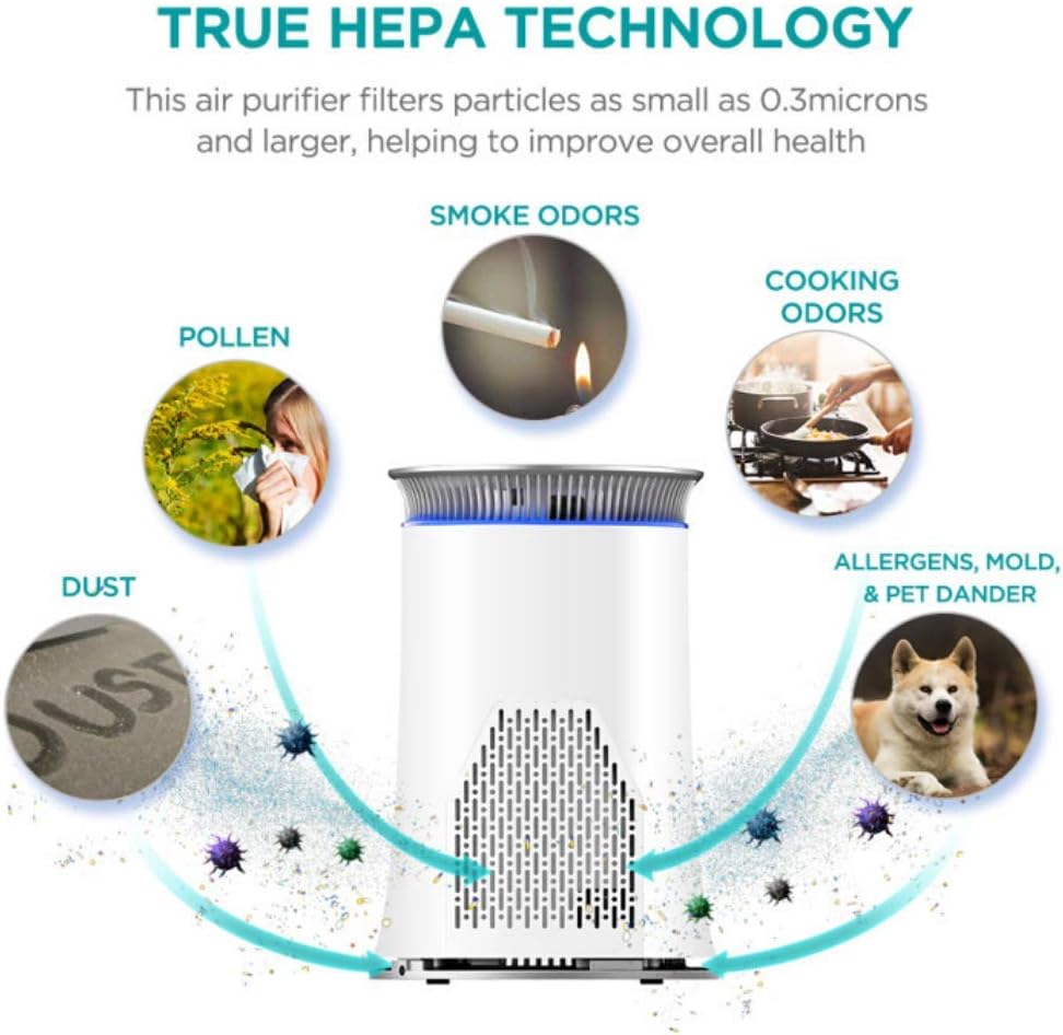 Hisense Air Purifier with True HEPA Technology Air Purifier for Home Allergies Pets Dander Smokers in Bedroom 25db Quiet Air Cleaner Remove Smoke Dust Mold Pollen for Large Room