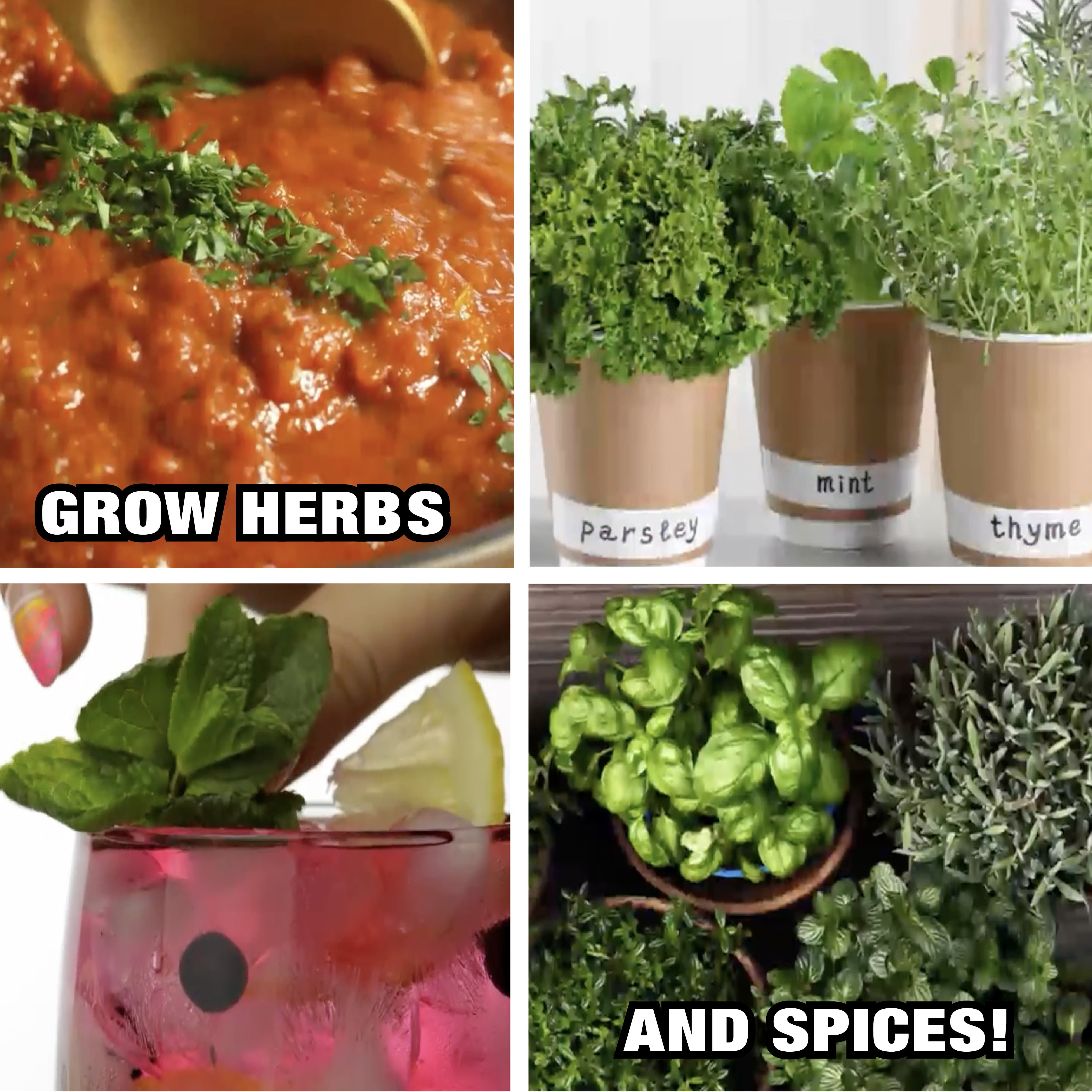 Bell+Howell Bionic Grow Light for Indoor Plants, 3 Heads Flexible Growing Lamp with 8 Brightness Settings, 3 Light Modes Including Full Spectrum UV Light Growing Plant Light As Seen On TV