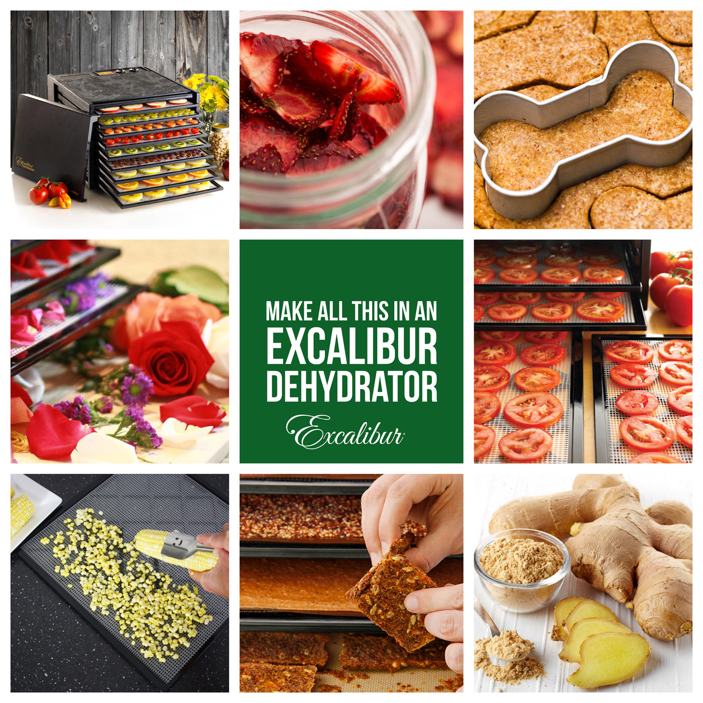 Excalibur 9-Tray Food Dehydrator with Digital 48-HR Timer and Adjustable Thermostat, Stainless Steel