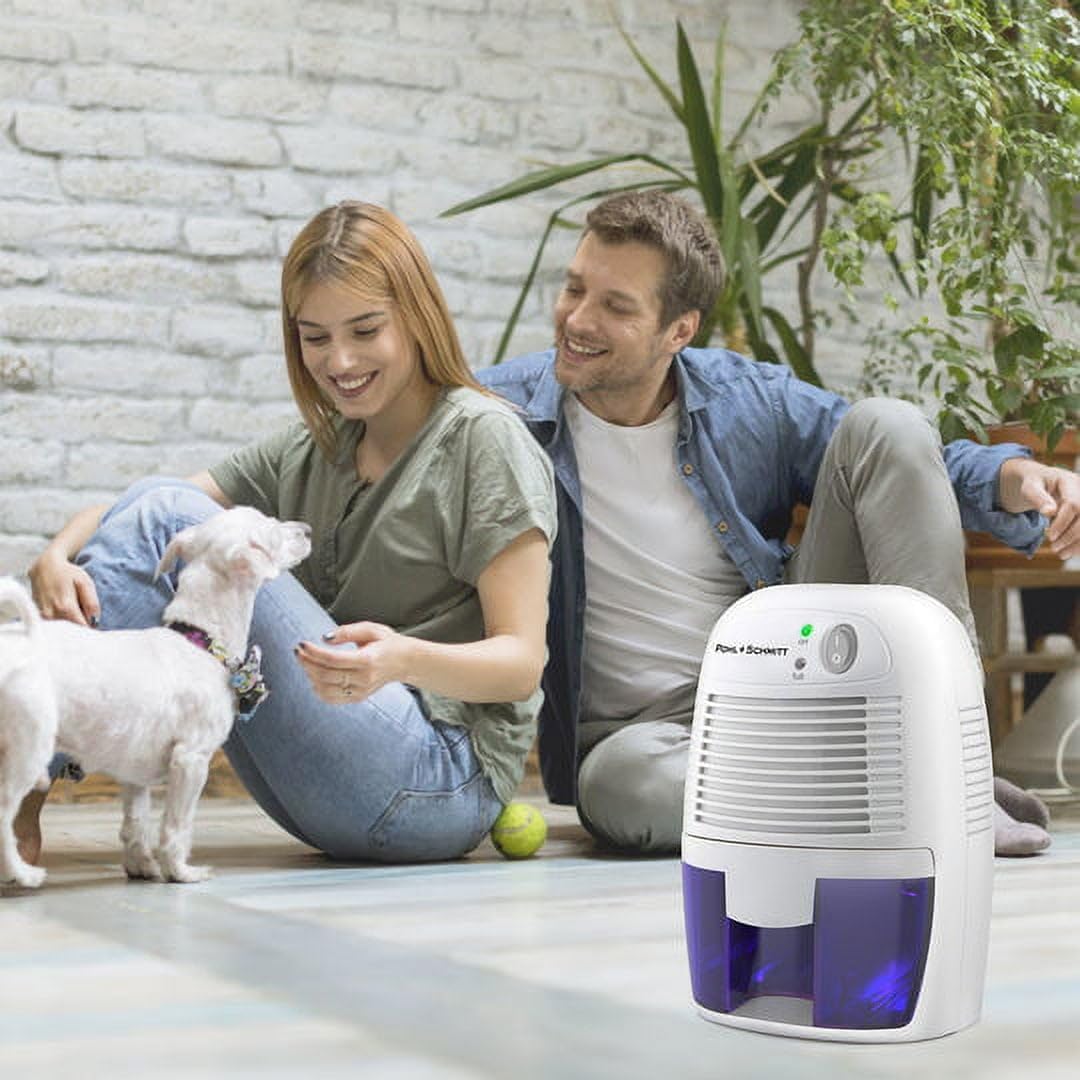 Pohl Schmitt Electric Dehumidifiers for Home, 2200 Cubic Feet (225 sq ft) Portable Compact 17 oz Capacity Mini Quiet Dehumidifier for Bedroom, Bathroom, RV, Laundry Room or Closet White