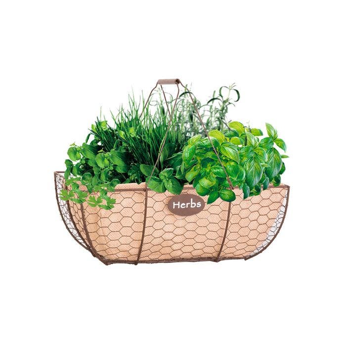 Panacea Rustic Herb Basket with Burlap Liner