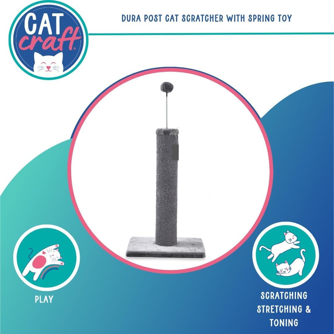 Cat Craft 20 Inch Carpet Cat Scratching Post for Indoor Cats with Sturdy Base