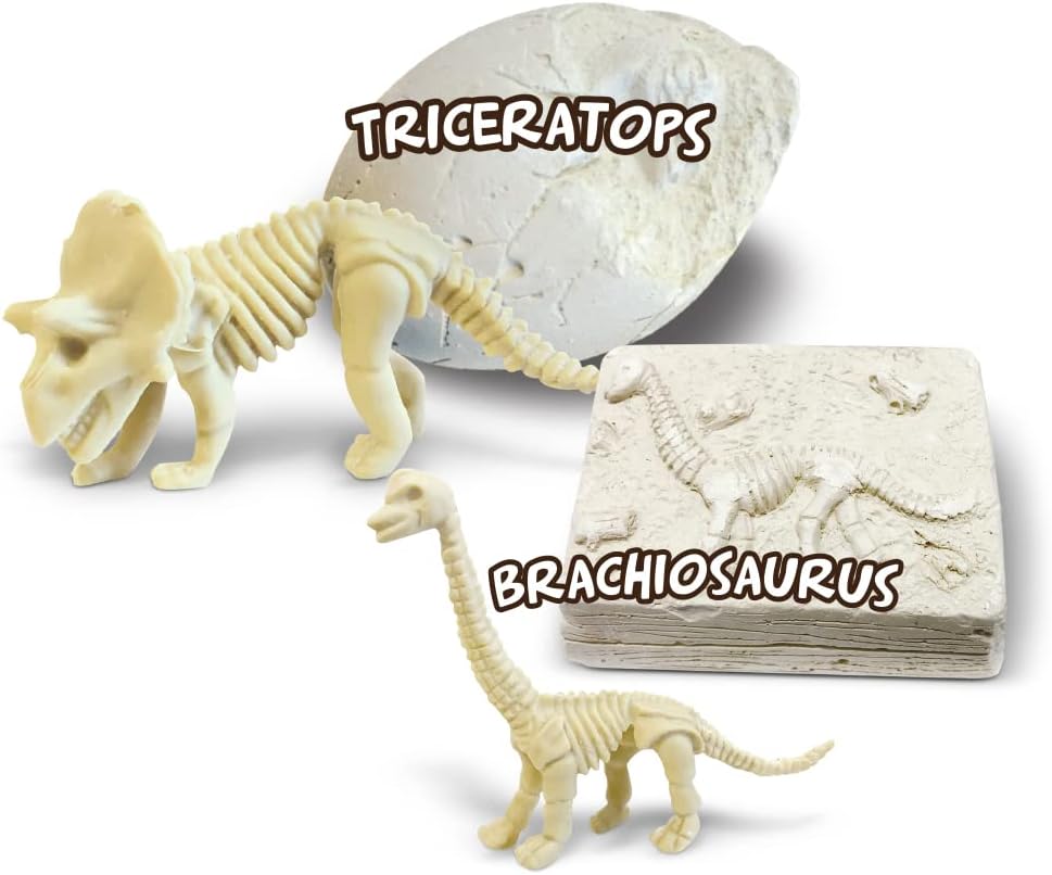 AMAV Toys Treasure Hunt Dinosaur Theme  dig Blocks with Creative Surprise in Each Block. Get Your Dinosaur Out of The Blocks, Paleontology Archaeology Excavation Kit. Age 6 and Above.