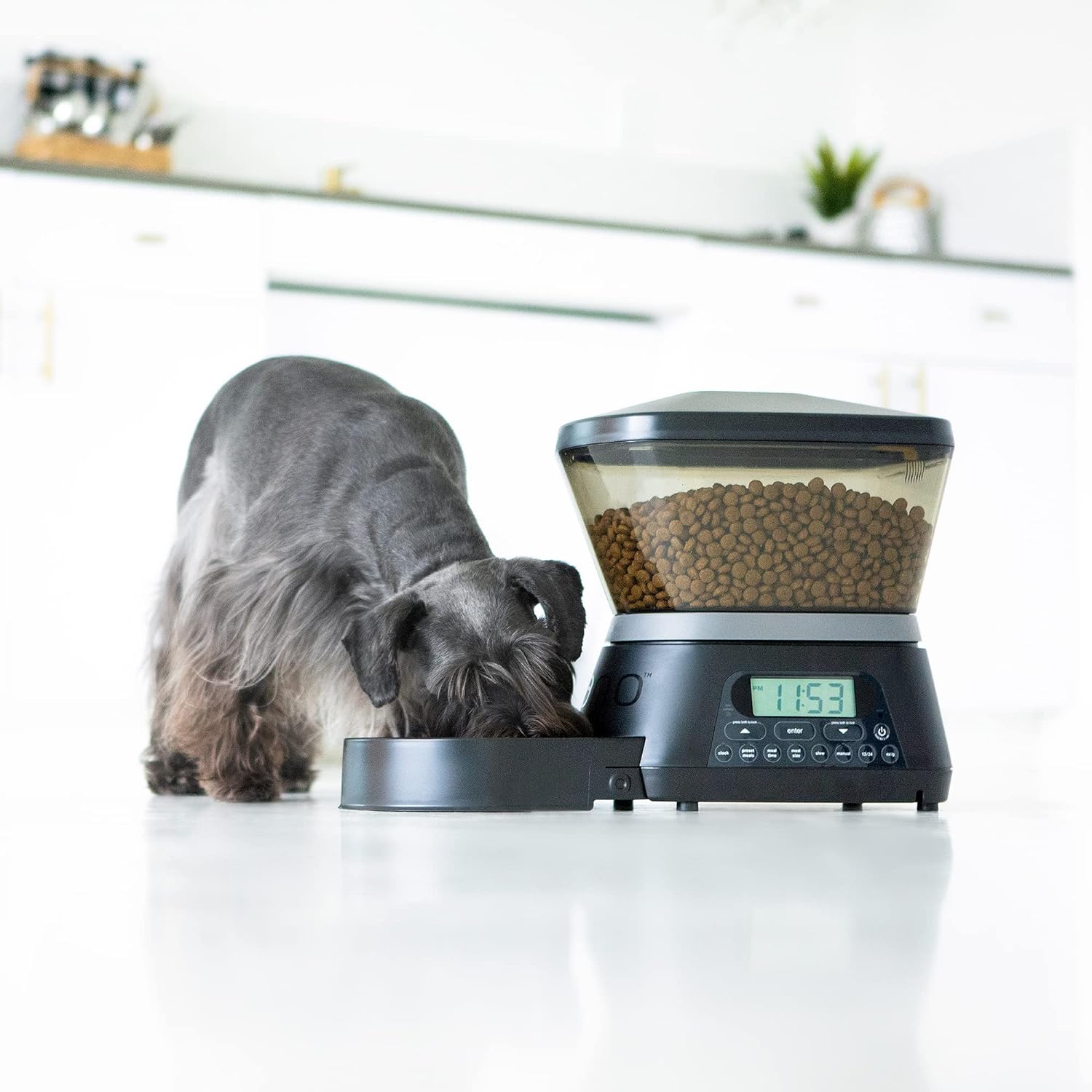 Gamma2 Nano Automatic Dog Feeder & Cat Feeder 7.5lb Cat Food or Dog Food Storage Capacity